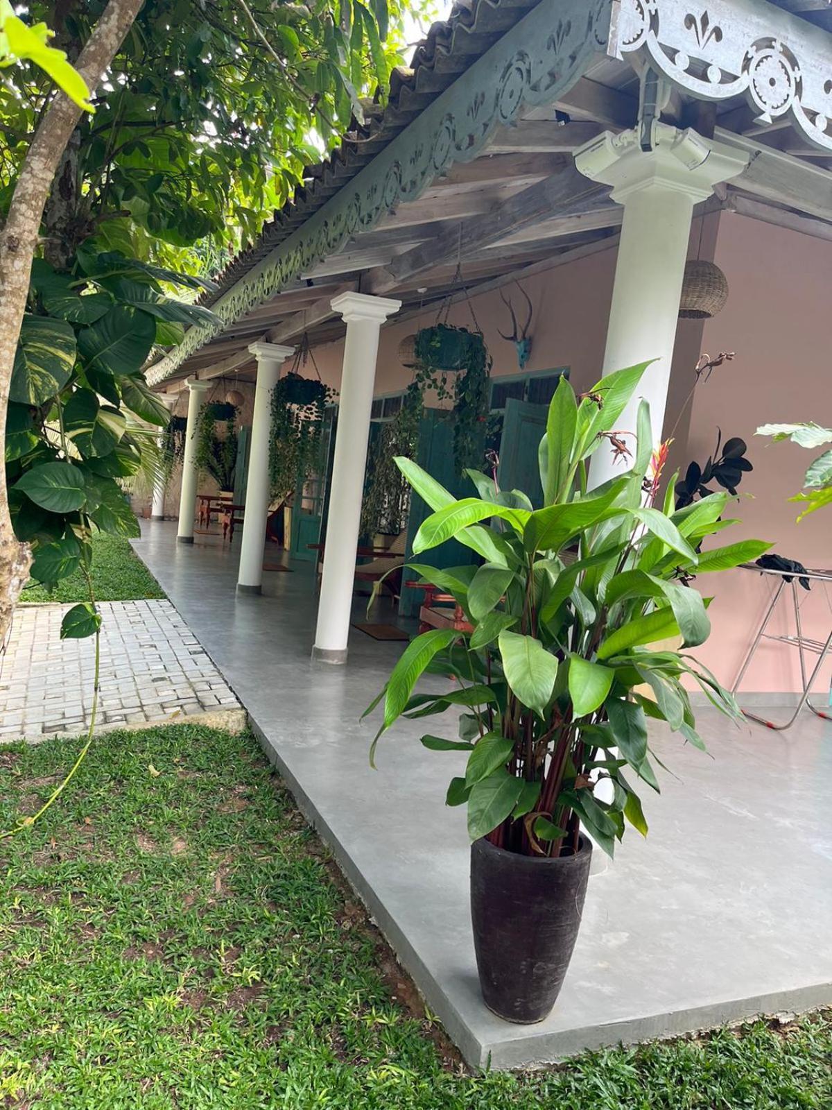 Ronaya Surf Waves Villa Dikwella Ngoại thất bức ảnh
